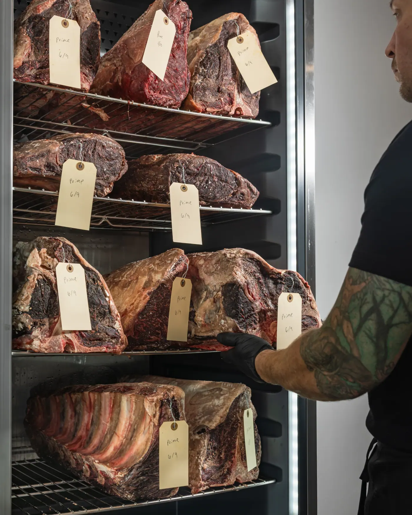 A cut being pulled from the cellar