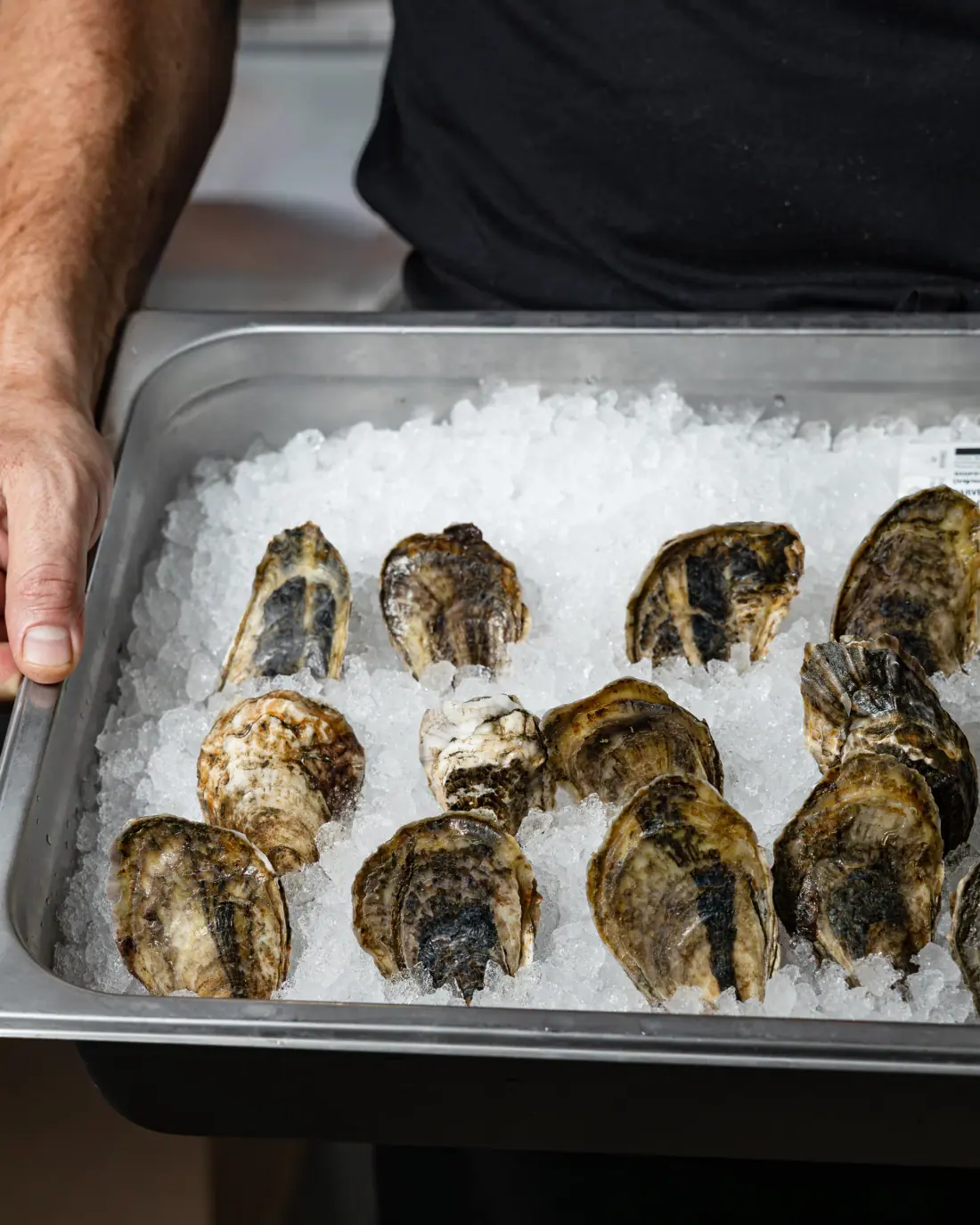 Oysters on crushed ice at the seafood counter